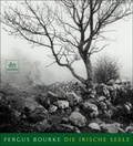 Cover: Die irische Seele - dtv