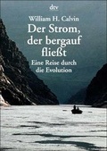 Cover: Der Strom, der bergauf flie&szlig;t - dtv