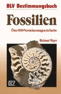 Cover: Fossilien - BLV