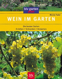 Enlarge image Cover: Wein im Garten - BLV