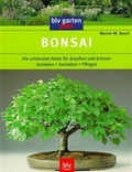 Cover: Bonsai - BLV