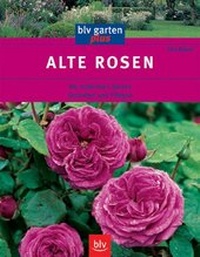 Enlarge image Cover: Alte Rosen - BLV