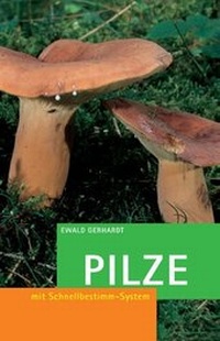 Enlarge image Cover: Pilze - BLV