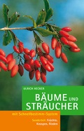 Cover: B&auml;ume und Str&auml;ucher - BLV