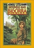 Cover: Unterwegs nach Bigorra - Beltz Verlagsgruppe GmbH & Co. KG