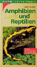 Cover: Amphibien und Reptilien - Kosmos