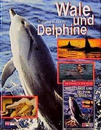 Enlarge image Cover: Wale und Delphine - Schneiderbuch