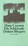 Cover: Die Schicksale Doktor B&uuml;rgers - Insel