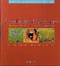 Cover: Biotope erkennen, bestimmen, sch&uuml;tzen - Thienemann