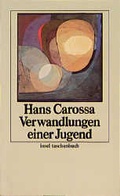 Cover: Werke in Einzelausgaben. Zw&ouml;lf B&auml;nde in Kassette - Insel