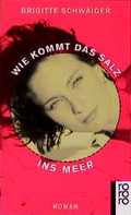 Cover: Wie kommt das Salz ins Meer - Rowohlt Taschenbuch