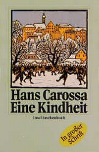 Enlarge image Cover: Eine Kindheit - Insel