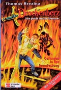 Cover: Drachenherz / Gefangen in der Feuerfestung - Schneiderbuch