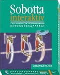 Cover: Sobotta interaktiv Bewegungsapparat - Urban & Fischer
