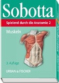 Cover: Spielend durch die Anatomie - Urban & Fischer