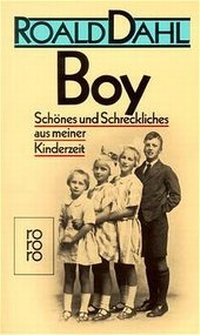 Abbildung von: Boy - Rowohlt Taschenbuch