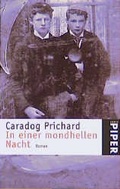 Cover: In einer mondhellen Nacht - Piper
