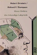 Cover: Unser Gehirn: das lebendige Labyrinth - Rowohlt Taschenbuch