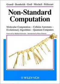Enlarge image Cover: Non-Standard Computation - Wiley-VCH