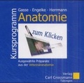 Cover: Anatomie zum Klicken - Wiley-VCH