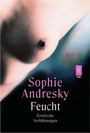 Cover: Feucht - Rowohlt Taschenbuch