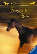 Cover: Flammender Stern - Ravensburger