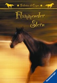 Enlarge image Cover: Flammender Stern - Ravensburger