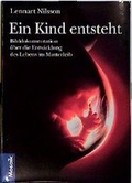 Cover: Ein Kind entsteht - Mosaik