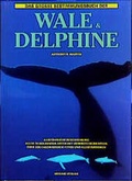 Cover: Das grosse Bestimmungsbuch der Wale und Delphine - Mosaik