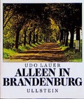 Cover: Alleen in Brandenburg - Ullstein