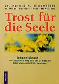 Cover: Trost f&uuml;r die Seele - Mosaik