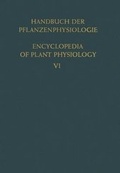 Cover: Aufbau &middot; Speicherung &middot; Mobilisierung und Umbildung der Kohlenhydrate / Formation &middot; Storage &middot; Mobilization and Transformation of Carbohydrates - Springer