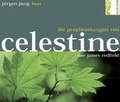 Cover: Die Prophezeiungen von Celestine - Ullstein