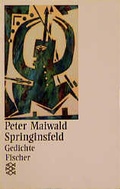 Cover: Springinsfeld - Fischer Taschenbuch