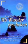 Cover: Wo Wunder geschehen - Econ