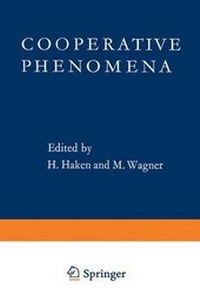 Abbildung von: Cooperative Phenomena - Springer