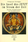 Cover: Die Insel des JETZT im Strom der Zeit - Fischer Taschenbuch