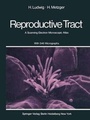 Cover: The Human Female Reproductive Tract - Springer