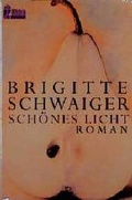 Cover: Sch&ouml;nes Licht - Ullstein Taschenbuchverlag
