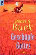 Cover: Gesch&ouml;pfe Gottes - Ullstein Taschenbuchverlag