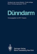 Cover: D&uuml;nndarm A - Springer