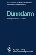 Cover: D&uuml;nndarm B - Springer