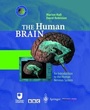 Cover: The Human Brain - Springer