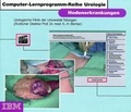 Cover: Hodenerkrankungen - Springer