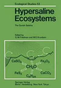 Enlarge image Cover: Hypersaline Ecosystems - Springer