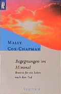 Cover: Begegnungen im Himmel - Ullstein Taschenbuchverlag