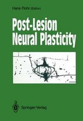 Cover: Post-Lesion Neural Plasticity - Springer