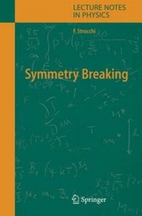 Enlarge image Cover: Symmetry Breaking - Springer
