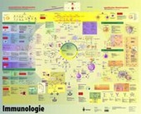 Enlarge image Cover: Poster Immunologie - Springer