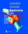 Cover: Anatomie - Springer